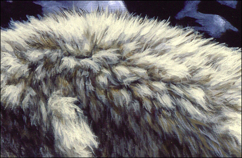 500x326 How To Paint Different Kinds Of Animal Fur