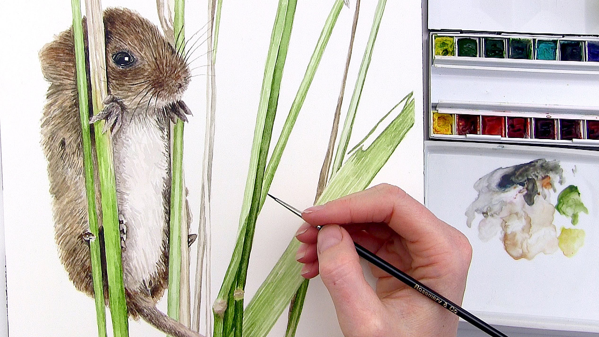 2532x1424 How To Paint Fur In Watercolour