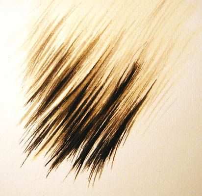 412x400 Painting Fur Luxury Watercolour Artist Diary Painting Hair Fur In
