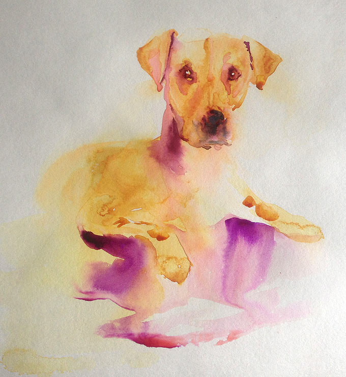 680x741 Painting Fur In Watercolor Olga Peregood