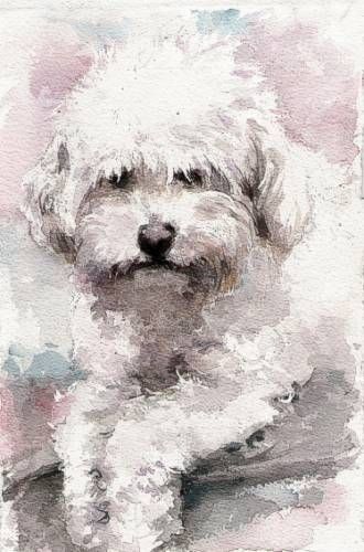 330x500 Painting White Fur