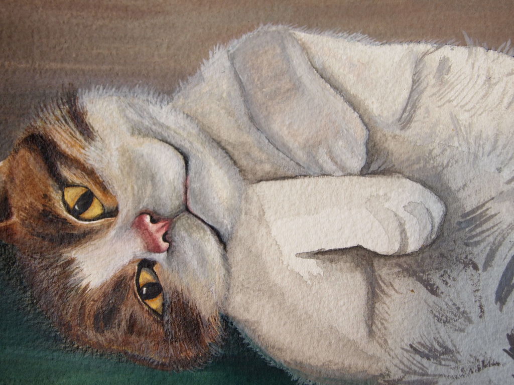 1024x768 Watercolor Pet Portrait How To 7 Steps (With Pictures)