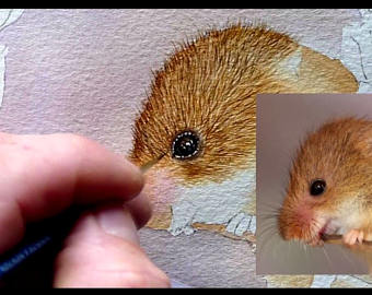 340x270 Watercolor Step By Step Learn To Paint In Watercolour 5 Pdf Etsy