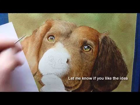 480x360 Dog Fur Watercolour Painting Tutorial