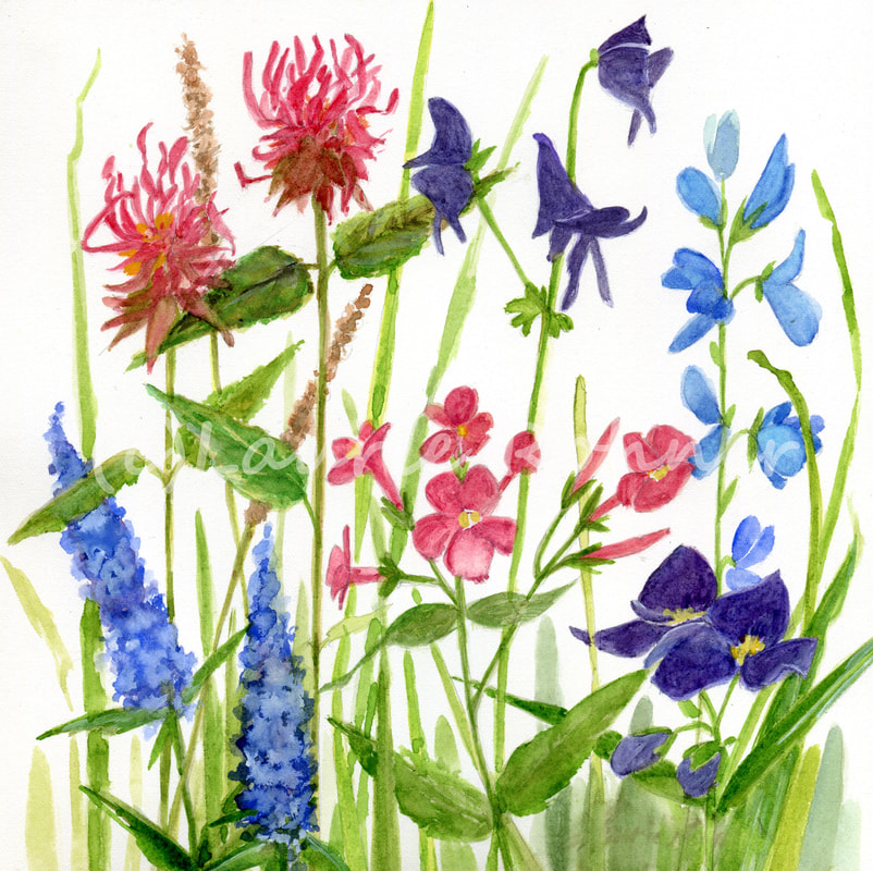 802x800 Botanical Floral Watercolor Garden Art