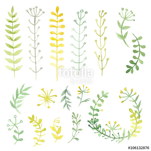 500x500 Set Of Flowers Painted In Watercolor On White Paper. Sketch Of