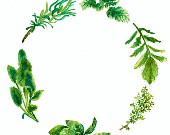 340x270 Watercolor Garland Etsy