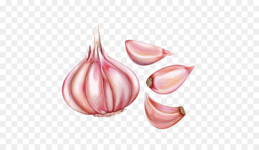 900x520 Garlic Bread Watercolor Painting