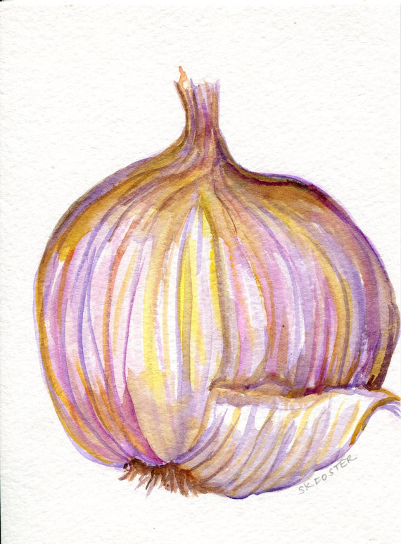 570x773 Garlic Watercolor Painting Original Wabi Sabi Kitchen Wall