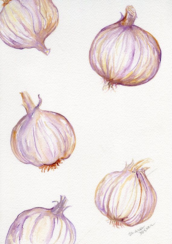 570x810 Garlic Watercolors Painting Original, Garlic Art Still Life 9 X 12
