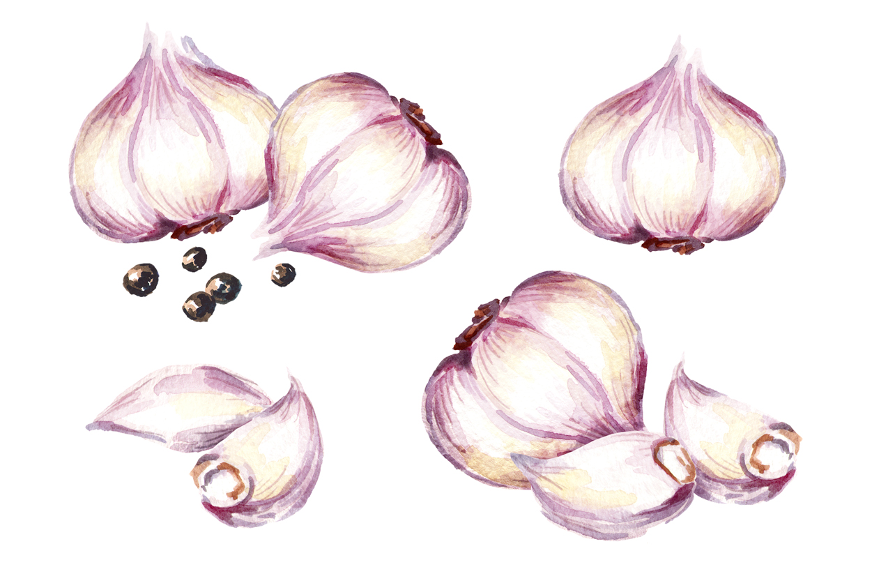 1251x826 Garlic. Watercolor Collection By Dariau Design Bundles