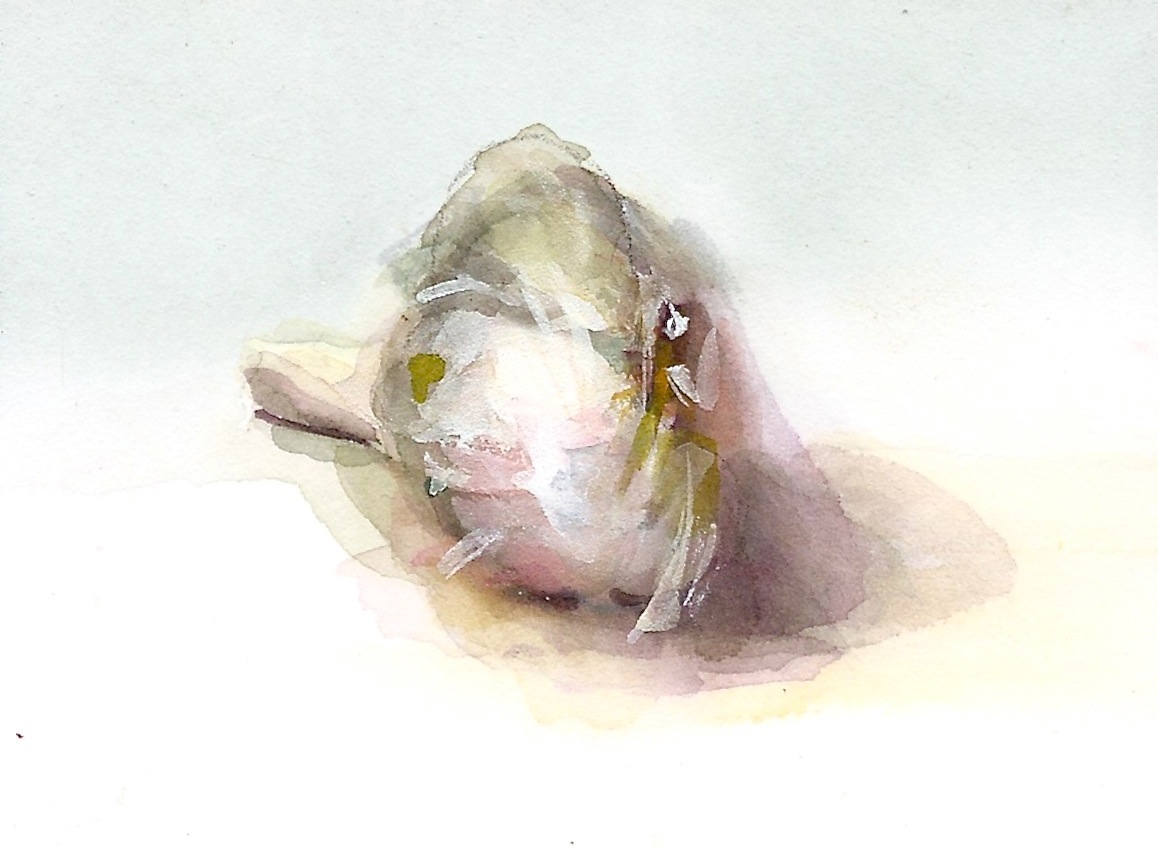 1158x849 Joyce Washor Watercolor Garlic