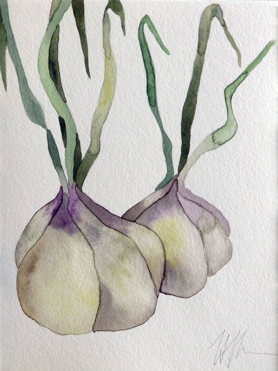 570x760 Original Art Watercolor Painting Garlic Kitchen Art Etsy
