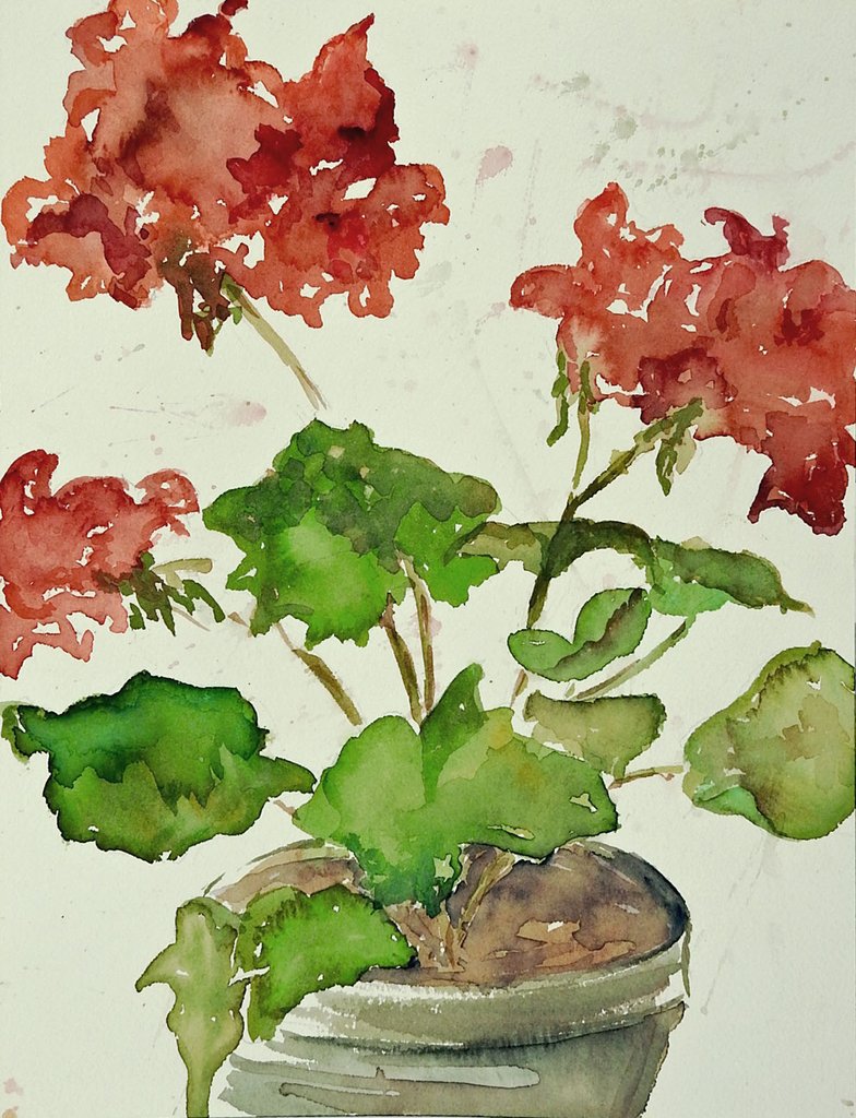 784x1024 Geraniums Watercolor Painting Artifax Antiques Amp Design