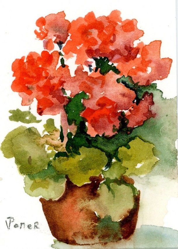 610x854 Geraniums Water Color Paintingbtw,please Check This Out