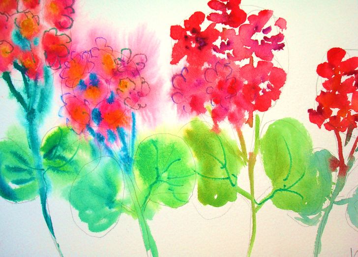 728x523 How To Paint Geraniums In Watercolor 13 Steps (With Pictures)