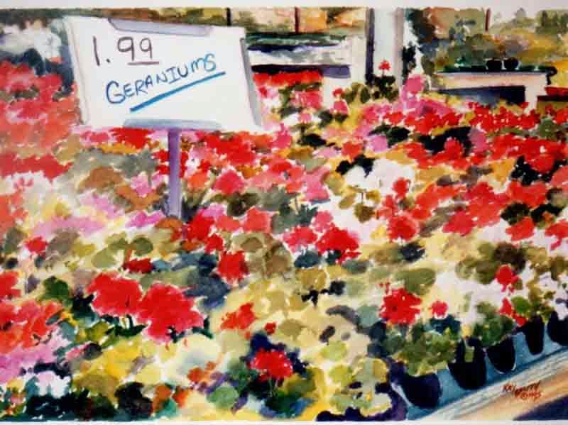 800x599 Kaysmithbrushworks Geraniums For 1.99