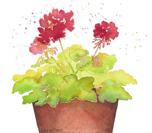 498x436 Red Geraniums Watercolor Art Card