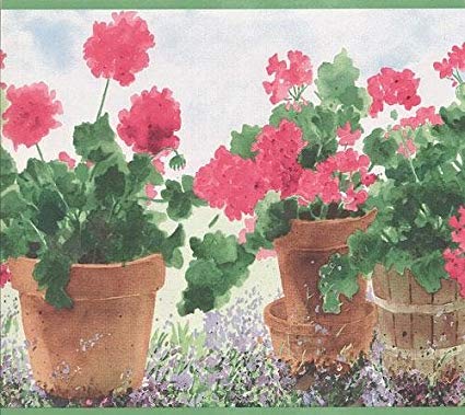 425x379 Wallpaper Border Watercolor Potted Geraniums On White With Green