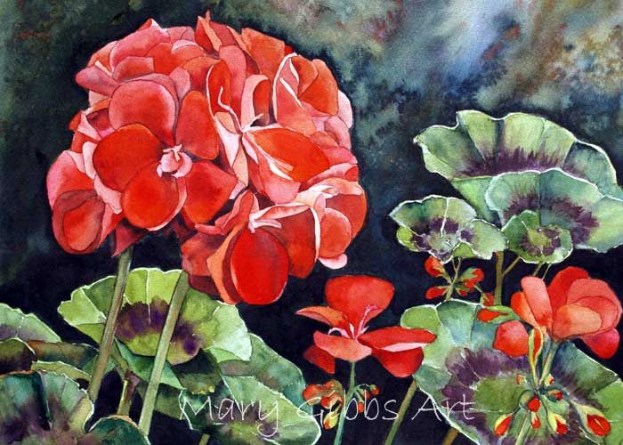 700x500 Watercolor Geraniums