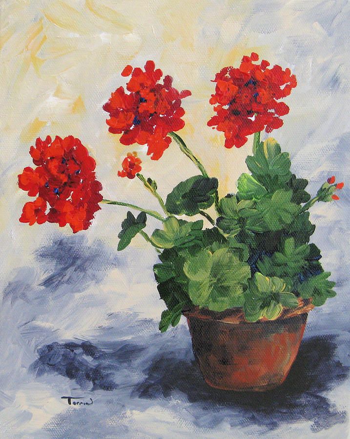 717x900 Geranium Canvas Prints Geraniums Painting By Torrie Smiley