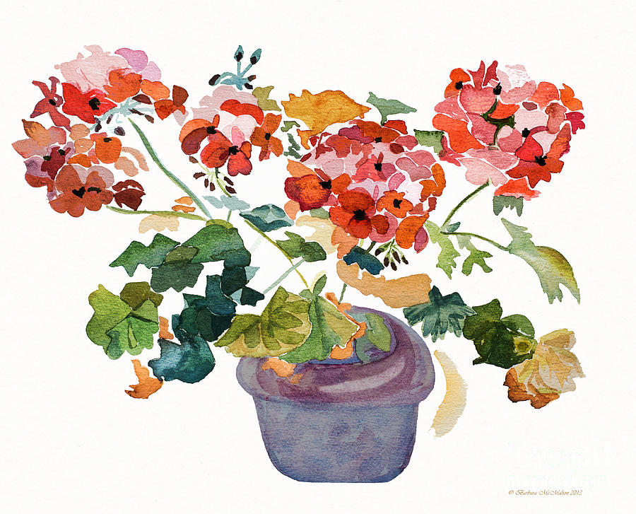 900x727 Geranium Watercolour Painting By Barbara Mcmahon