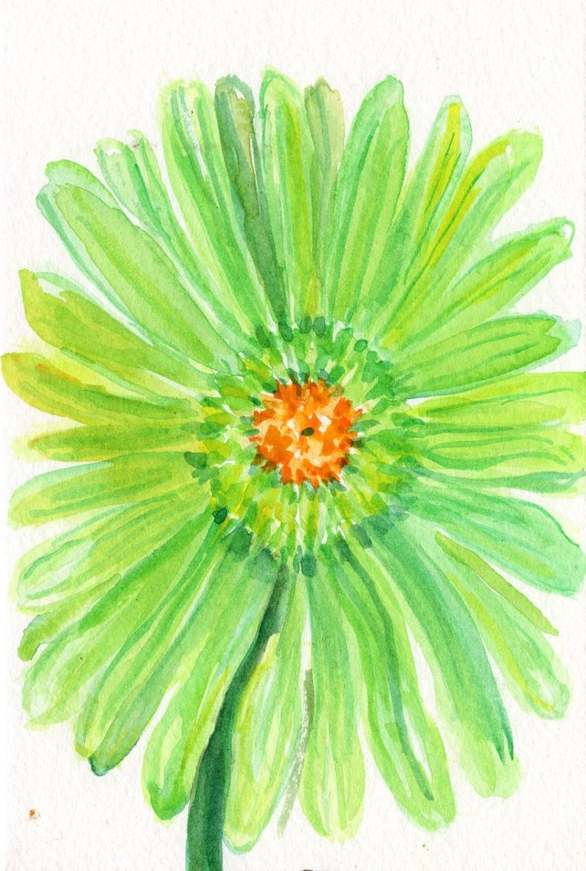 642x954 Lime Green Gerber Daisy Watercolor Painting Original 4 X 6 Etsy