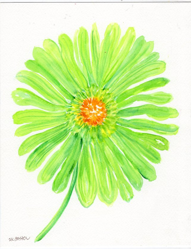 642x836 Original Watercolor Painting Green Gerbera Daisy 8 X 10 Etsy