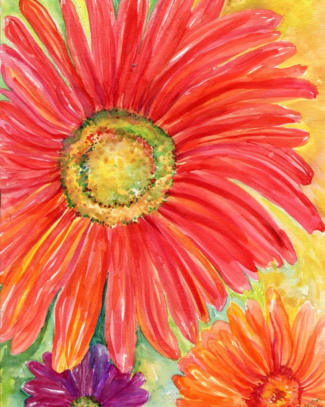 642x803 Red Gerbera Daisy Original Watercolor Painting 8 X 10 Floral Etsy