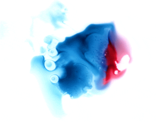 550x429 Dnae Watercolors