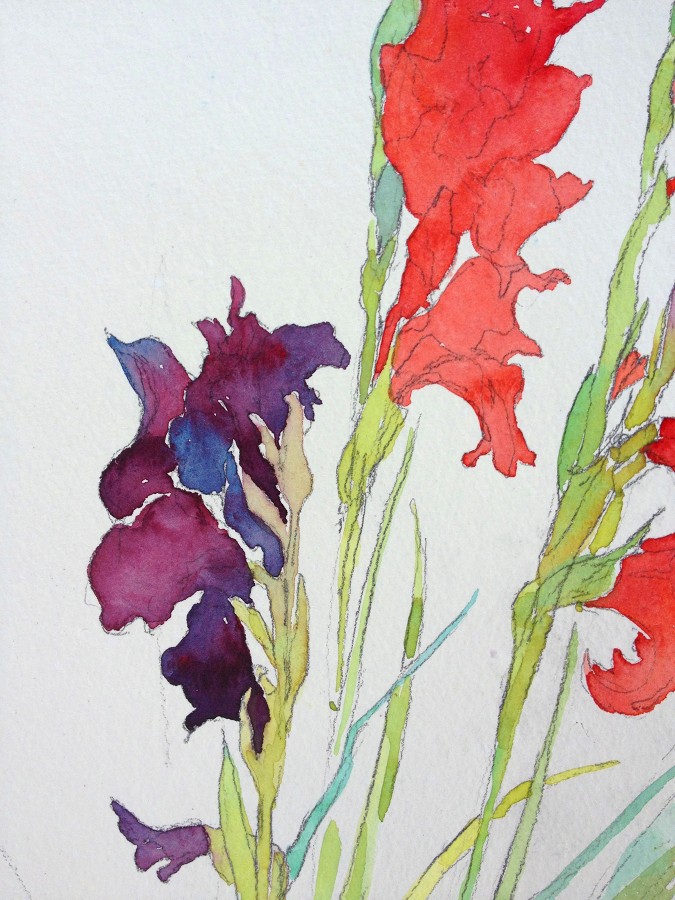 675x900 Gladiolus Watercolor Paintings Sketchbooks Purple Close Ups Chris