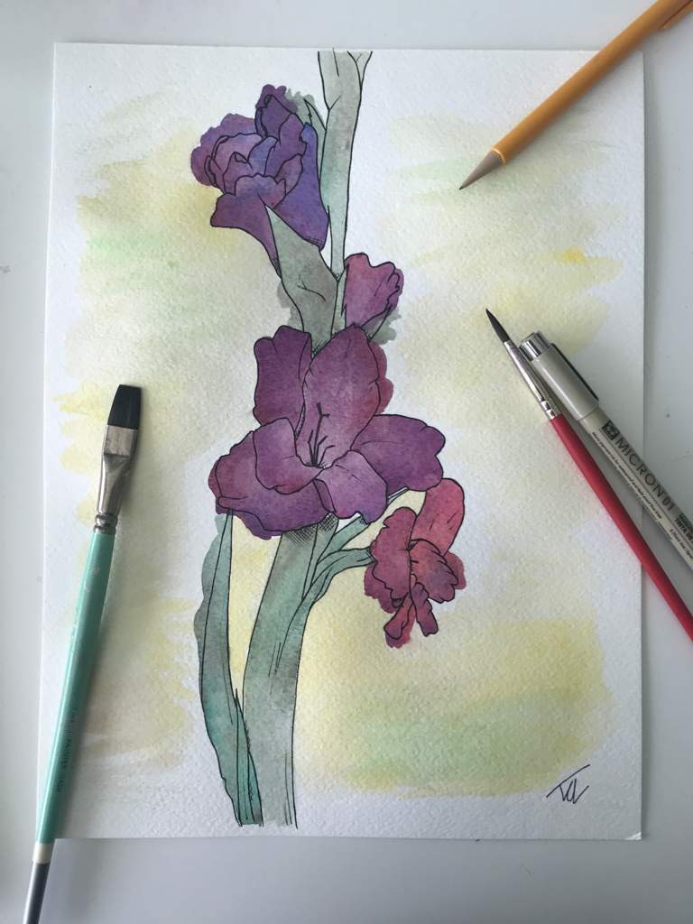 768x1024 Purple Gladiolus Watercolor First Post Art Amino