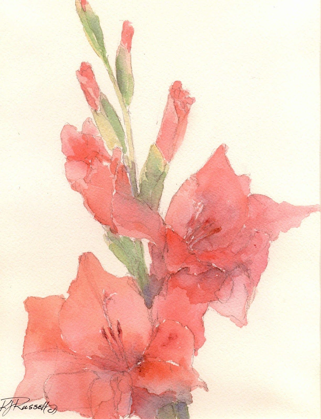 1224x1600 Watercolor Painting Of Gladiolus Bright Red Gladiola Flowers