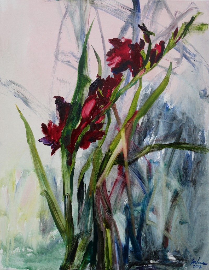 800x1034 Buy Gladiolus