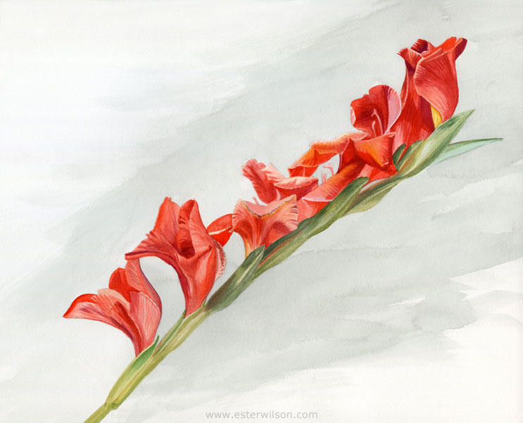 743x601 Daily Drawings By Ester Wilson Watercolor Painting Of Red