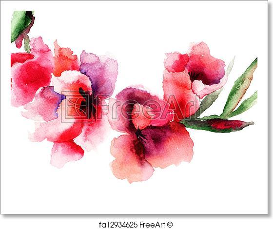 560x470 Free Art Print Of Stylized Gladiolus Flowers. Stylized Gladiolus