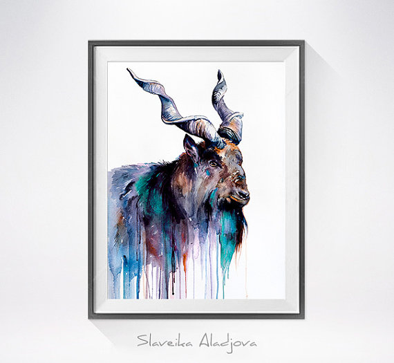 570x525 Goat 3 Watercolor Painting Print