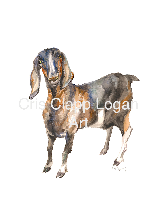 640x864 Goat Watercolor Print