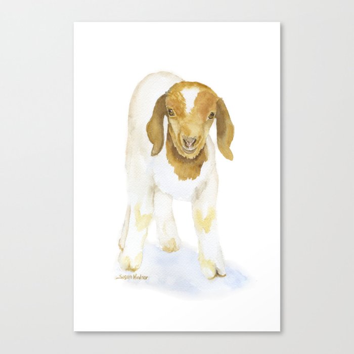 700x700 Nubian Goat Watercolor Canvas Print By Susanwindsor Society6