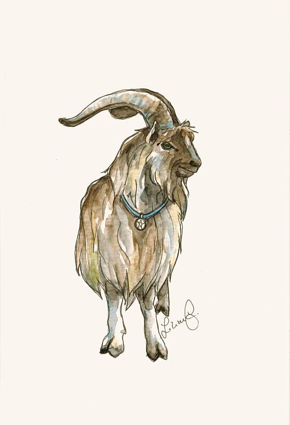 570x833 Phil The Goat (Original Watercolor) Watercolor And Originals