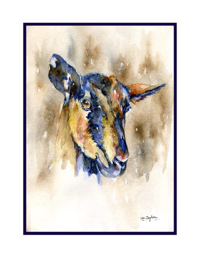 408x528 Watercolor Goat Note Cards