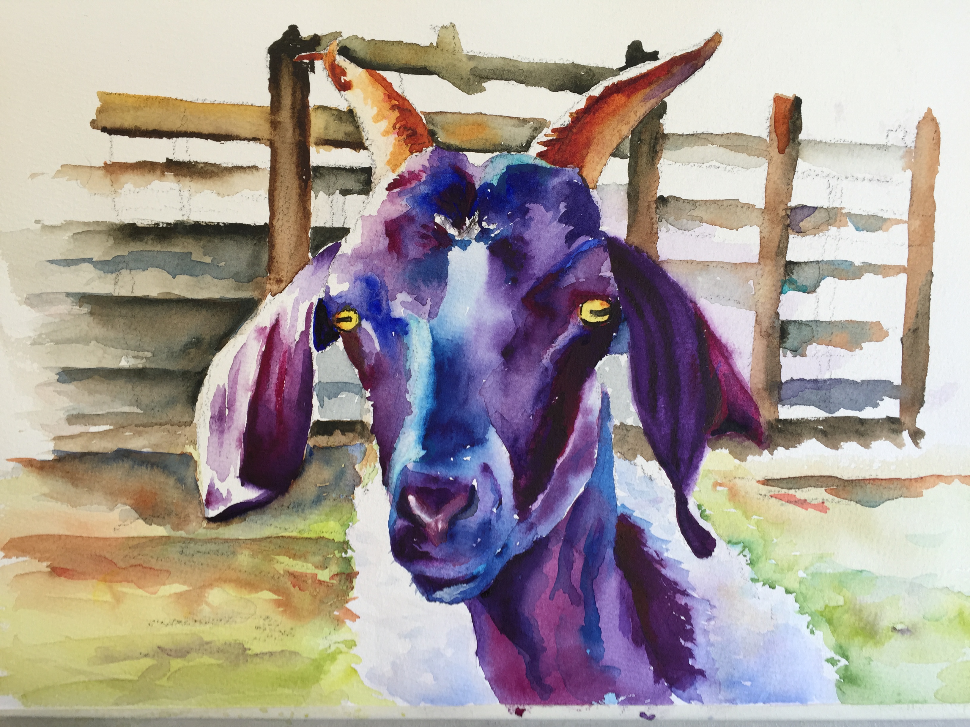 3264x2448 Goat Annette Bennett Watercolor Art