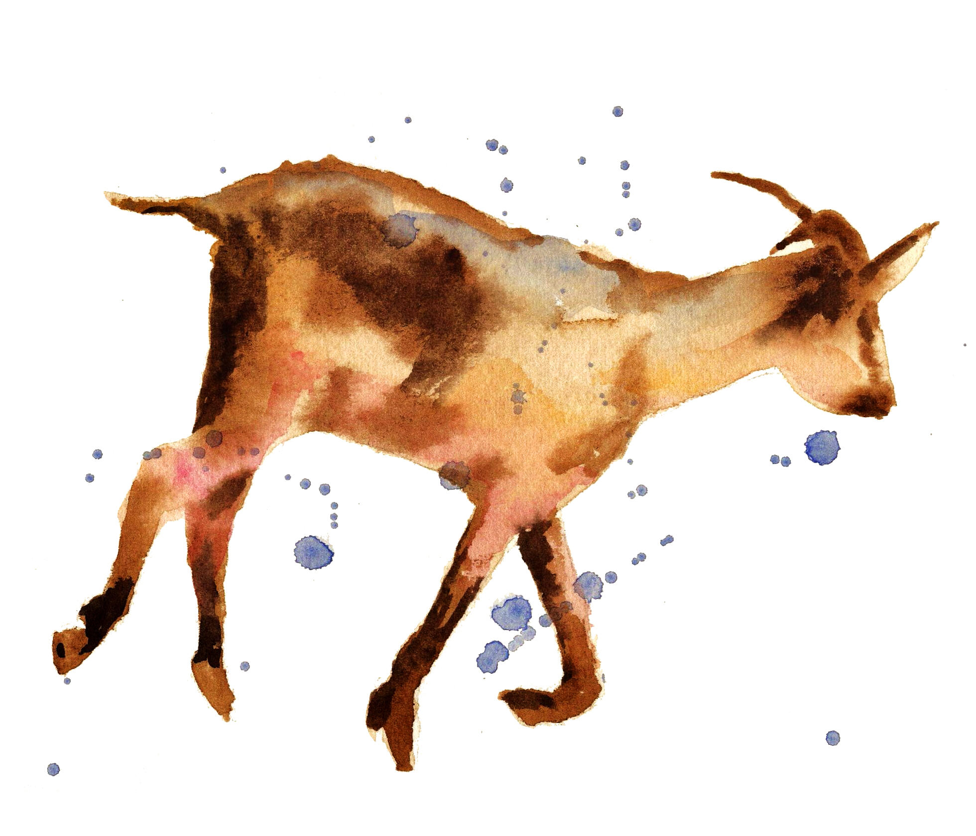 1960x1679 Painting Goats In Watercolor Alison Fennell Art