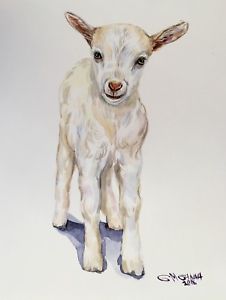 226x300 Cute Baby Goat Portrait, Goatling, Farm Animal Art, Original