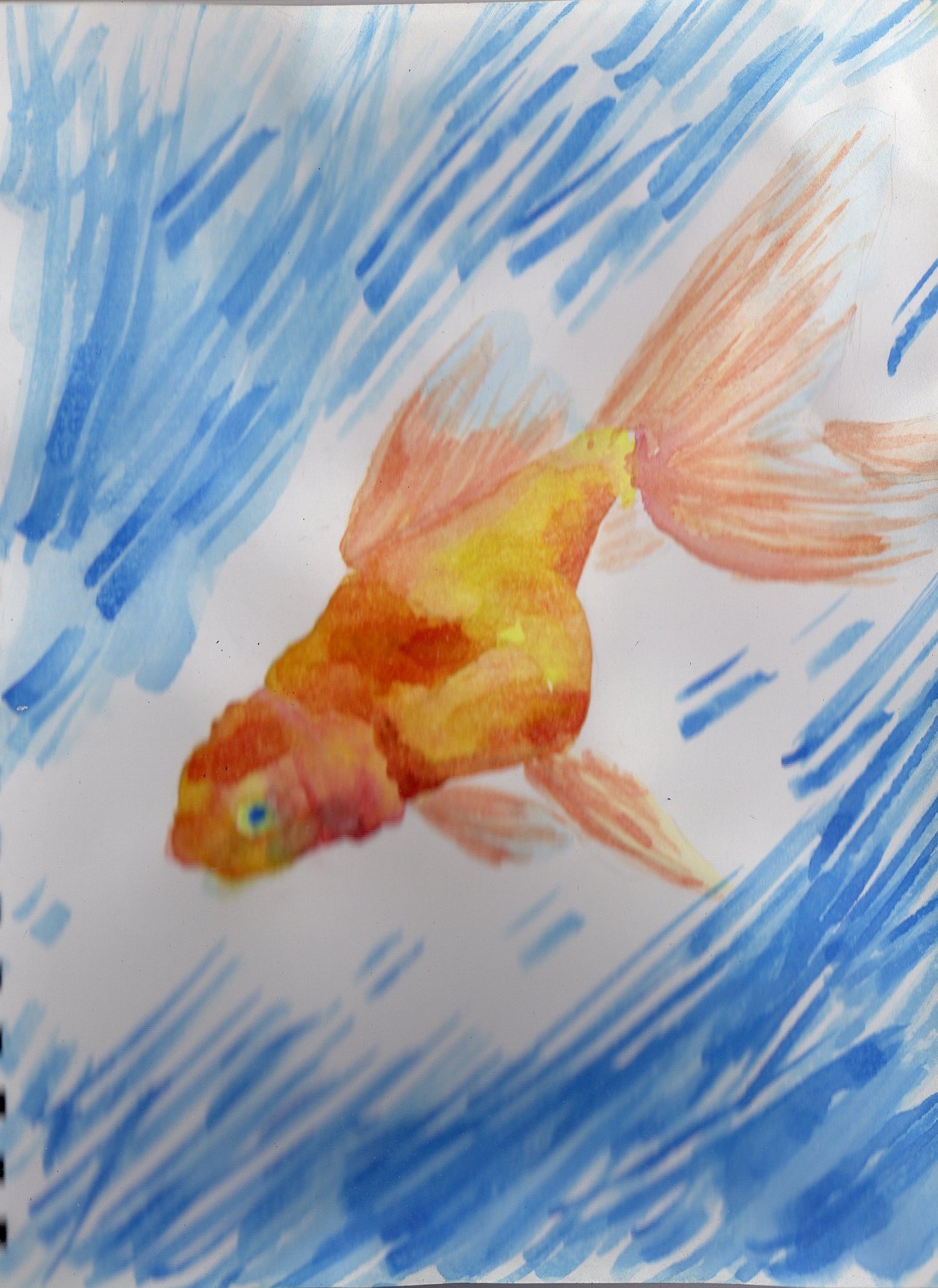 1438x1976 Watercolor Goldfish Oc