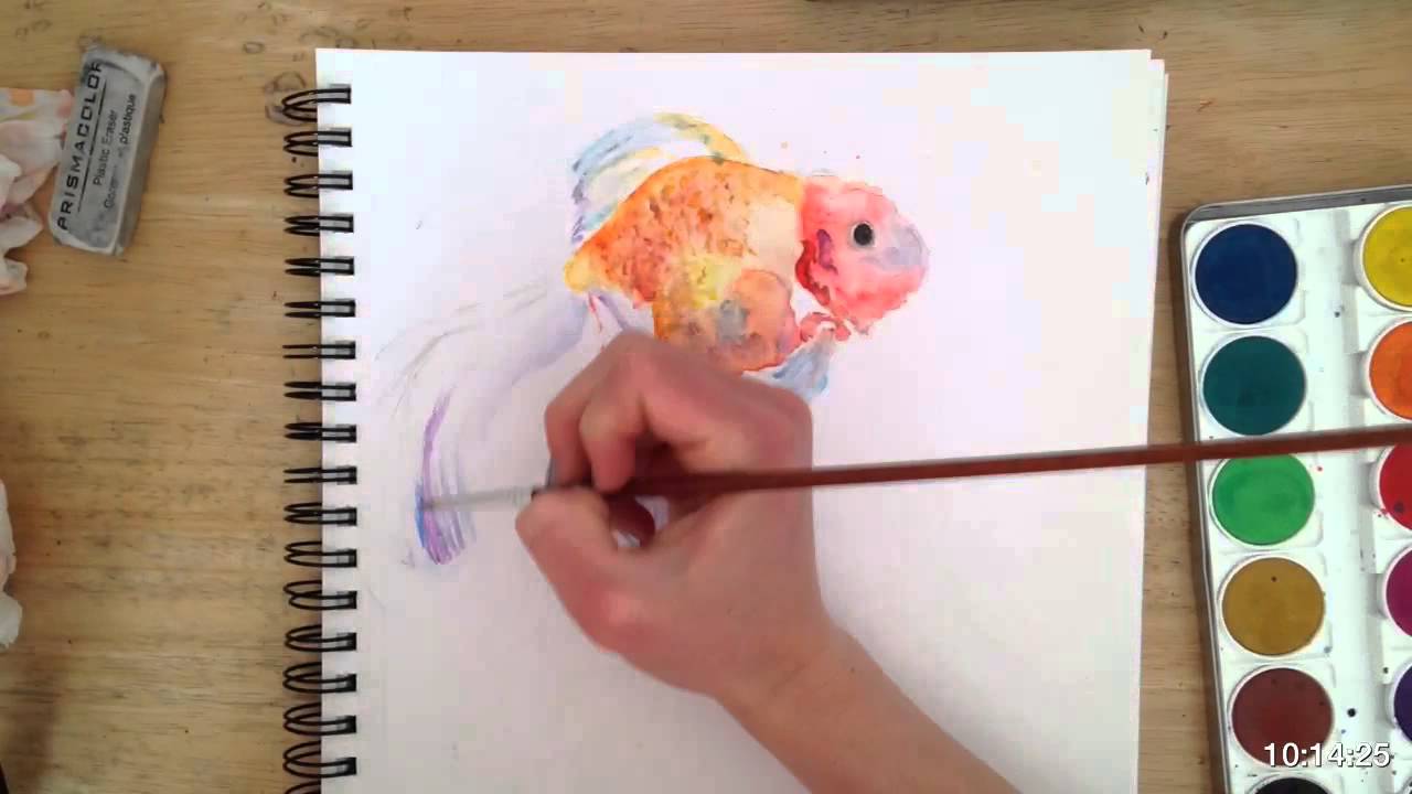 1280x720 Watercolor Goldfish Time Lapse Painting