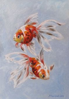 236x337 Watercolor Goldfish Medium Watercolor Watercolors 2
