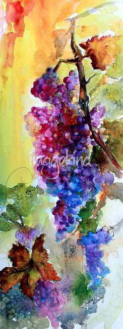 244x650 Burgundy Grapes Red Wine Watercolor Painting By Ginette Callaway