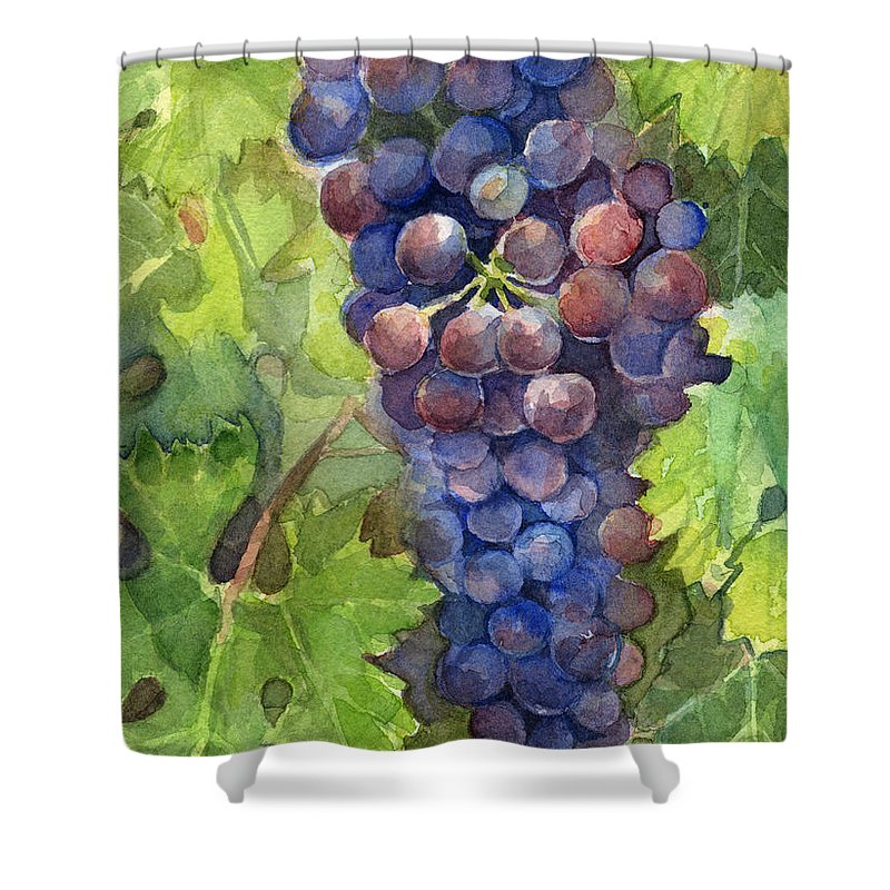 800x800 Watercolor Grapes Painting Shower Curtain For Sale By Olga Shvartsur