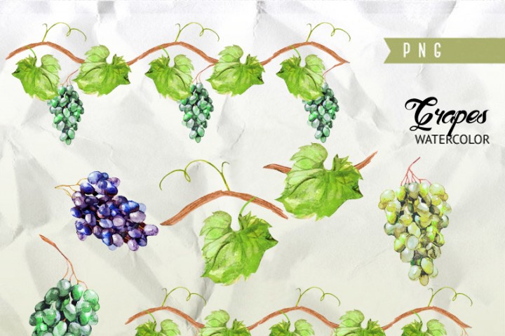 720x479 Watercolor Grapes Amp Leaves By Foxstylestudio